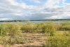 DSC_7762.JPG