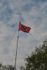 DSC_7865.JPG