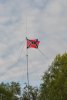 DSC_7874.JPG