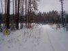 IMG_20151121_124049.jpg