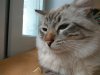 IMG_20170702_125314.jpg