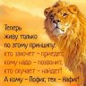 Бонивацио
